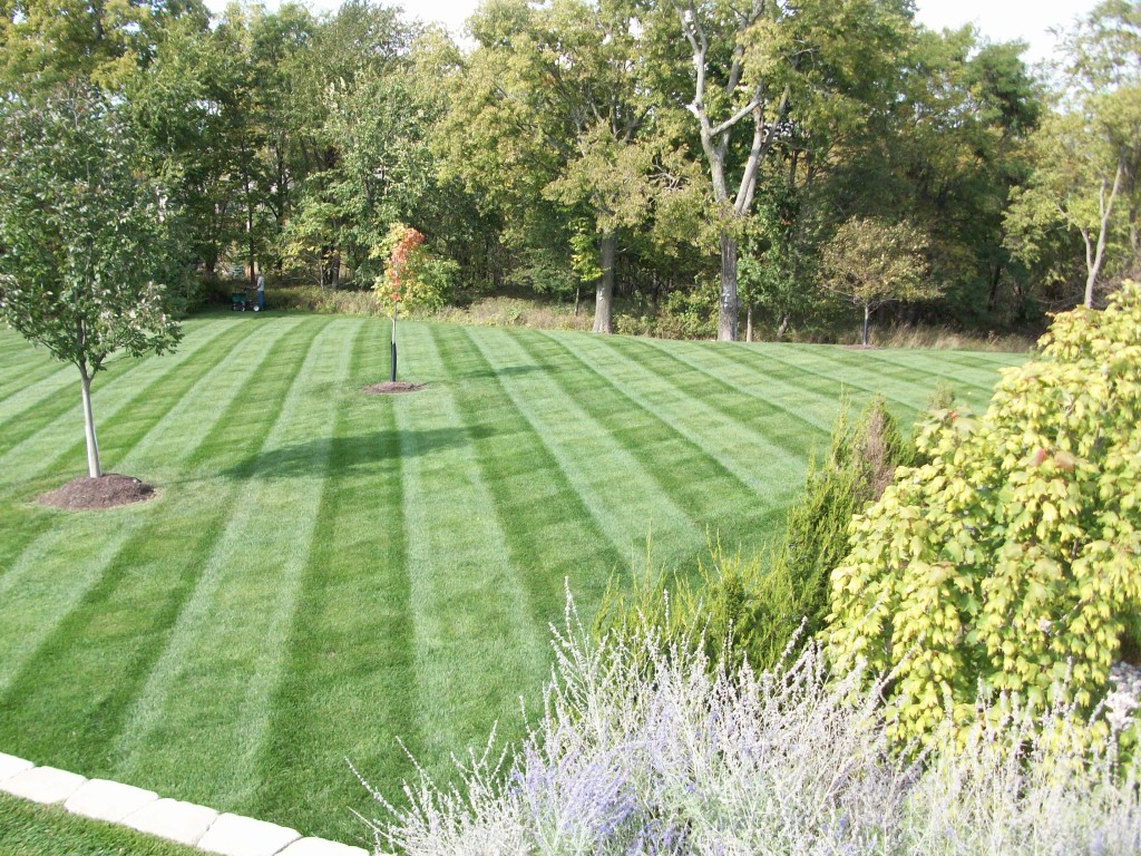 GreenLawn09 - DuVall Lawn Care