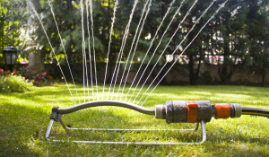 watering-a-lawn-sprinkler