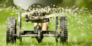 Overseeding after aerating your lawn